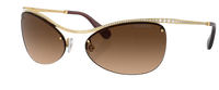 Swarovski SK7018 Sunglasses