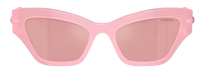 Swarovski SK6021 Sunglasses
