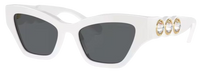 Swarovski SK6021 Sunglasses