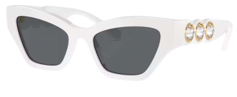 Swarovski SK6021 Sunglasses