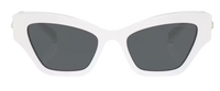 Swarovski SK6021 Sunglasses