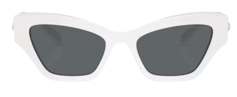 Swarovski SK6021 Sunglasses