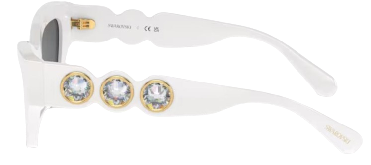 Swarovski SK6021 Sunglasses