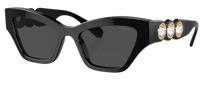 Swarovski SK6021 Sunglasses