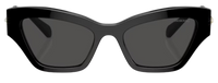 Swarovski SK6021 Sunglasses