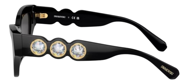 Swarovski SK6021 Sunglasses