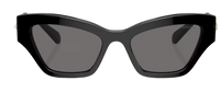 Swarovski SK6021 Sunglasses
