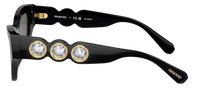 Swarovski SK6021 Sunglasses