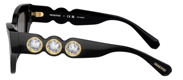 Swarovski SK6021 Sunglasses