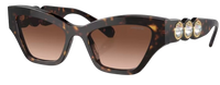 Swarovski SK6021 Sunglasses