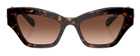 Swarovski SK6021 Sunglasses