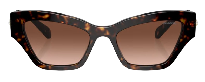 Swarovski SK6021 Sunglasses
