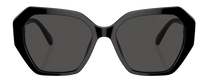 Swarovski SK6017 Sunglasses