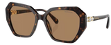 Swarovski SK6017 Sunglasses