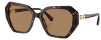 Swarovski SK6017 Sunglasses