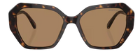 Swarovski SK6017 Sunglasses