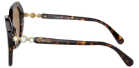 Swarovski SK6017 Sunglasses