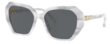Swarovski SK6017 Sunglasses