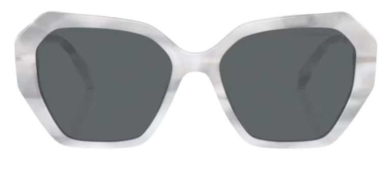 Swarovski SK6017 Sunglasses