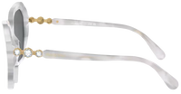 Swarovski SK6017 Sunglasses