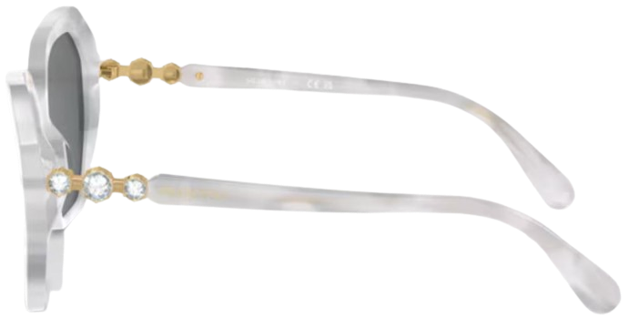 Swarovski SK6017 Sunglasses