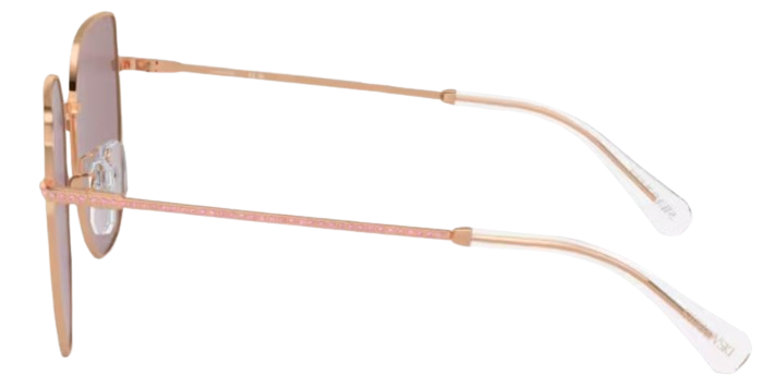 Occhiali da Sole Swarovski SK7021D