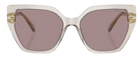 Swarovski SK6016 Sunglasses