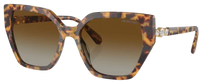 Swarovski SK6016 Sunglasses