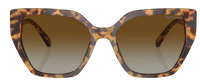 Swarovski SK6016 Sunglasses