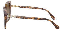 Swarovski SK6016 Sunglasses