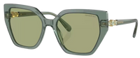 Swarovski SK6016 Sunglasses
