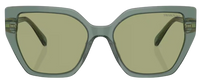 Swarovski SK6016 Sunglasses