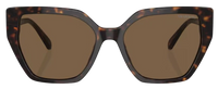 Swarovski SK6016 Sunglasses