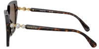 Swarovski SK6016 Sunglasses