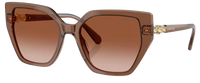 Swarovski SK6016 Sunglasses