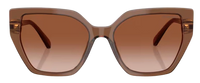 Swarovski SK6016 Sunglasses