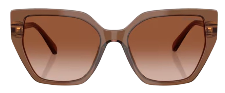 Swarovski SK6016 Sunglasses