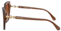 Swarovski SK6016 Sunglasses