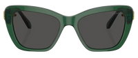 Occhiali da Sole Swarovski SK6018