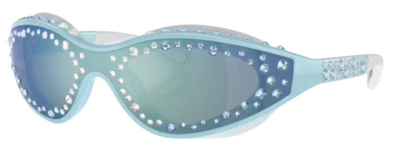 Swarovski SK6024 Sunglasses
