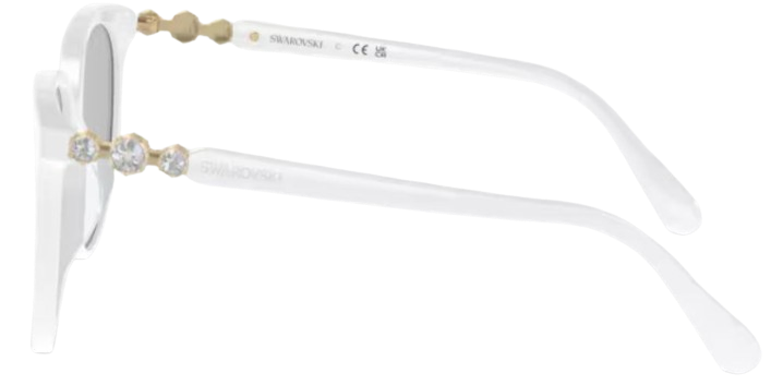 Swarovski SK6023D Sunglasses
