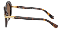 Swarovski SK6026 Sunglasses