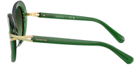Swarovski SK6026 Sunglasses