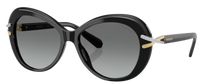 Swarovski SK6026 Sunglasses
