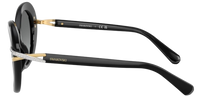 Swarovski SK6026 Sunglasses