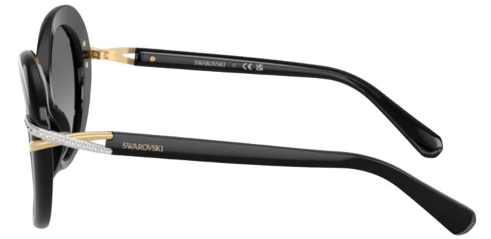 Swarovski SK6026 Sunglasses