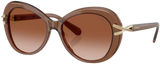 Swarovski SK6026 Sunglasses