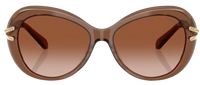 Swarovski SK6026 Sunglasses