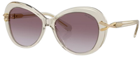 Swarovski SK6026 Sunglasses