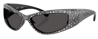 Swarovski SK6027 Sunglasses